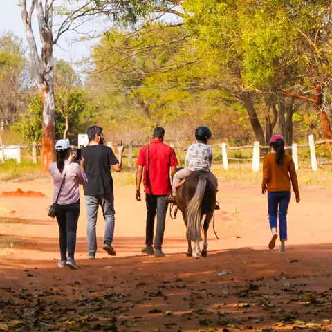 Double the joy by accompanying your kids. You can book your horse as an add-on. 